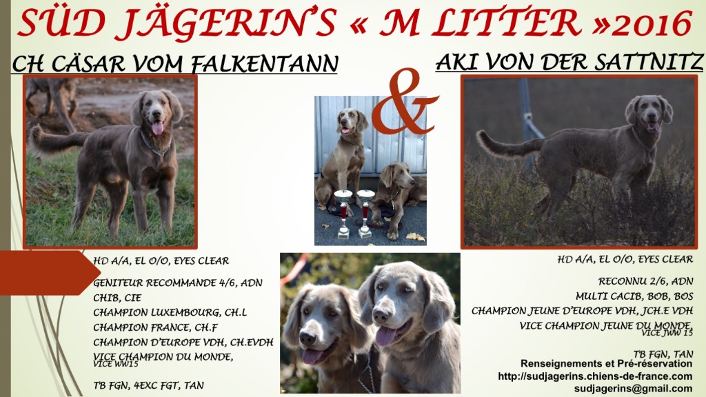 Süd Jägerin's - SÜD JÄGERIN'S - M LITTER 2016